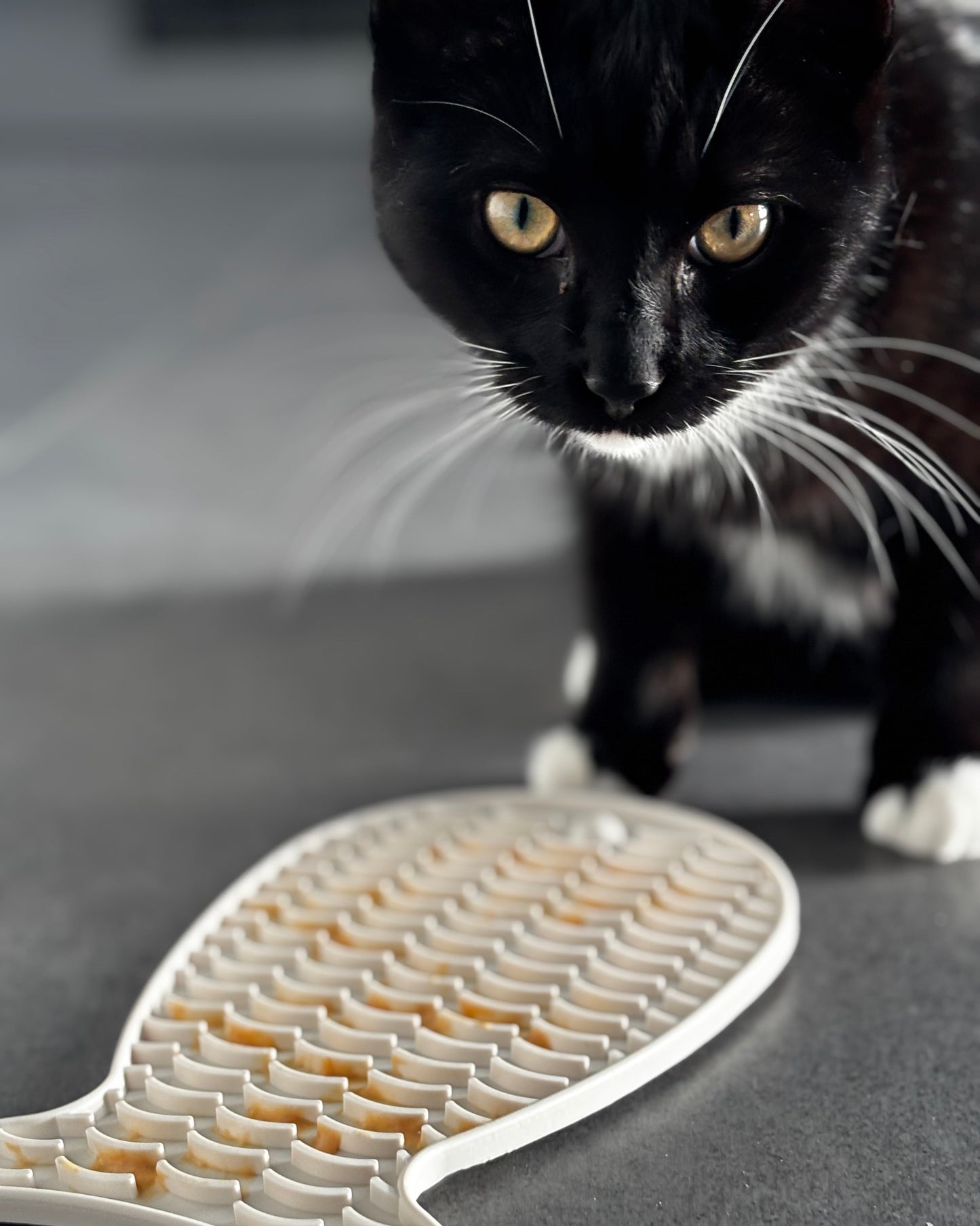 Velloura Treat Pad inkl. Spatel