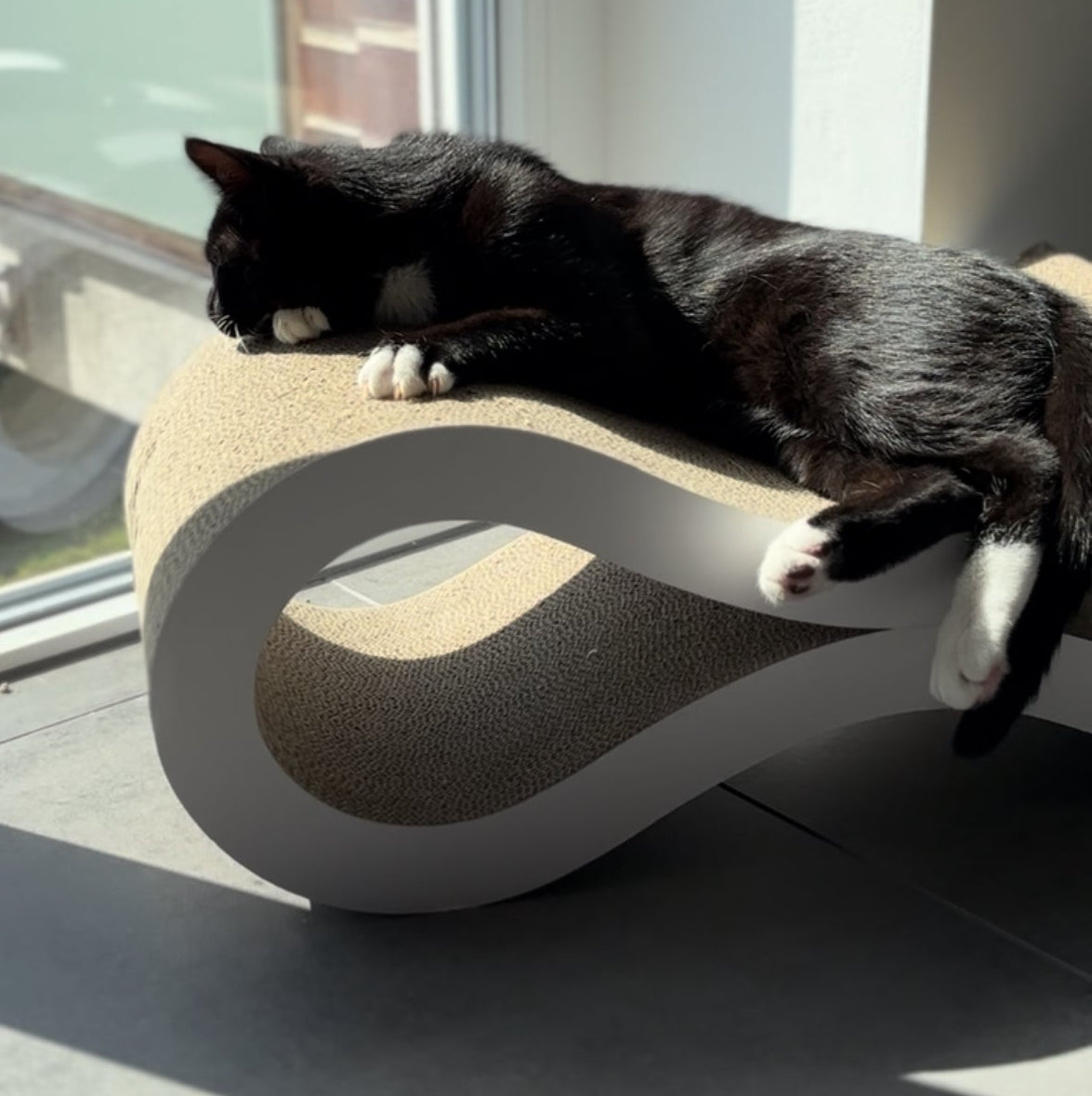 Velloura Loop & Lounger