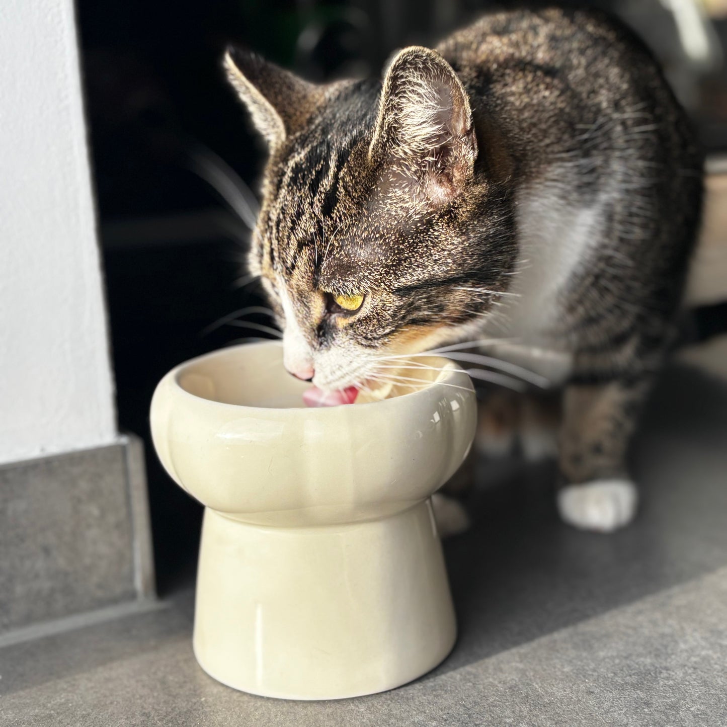 Velloura Elevate Bowl