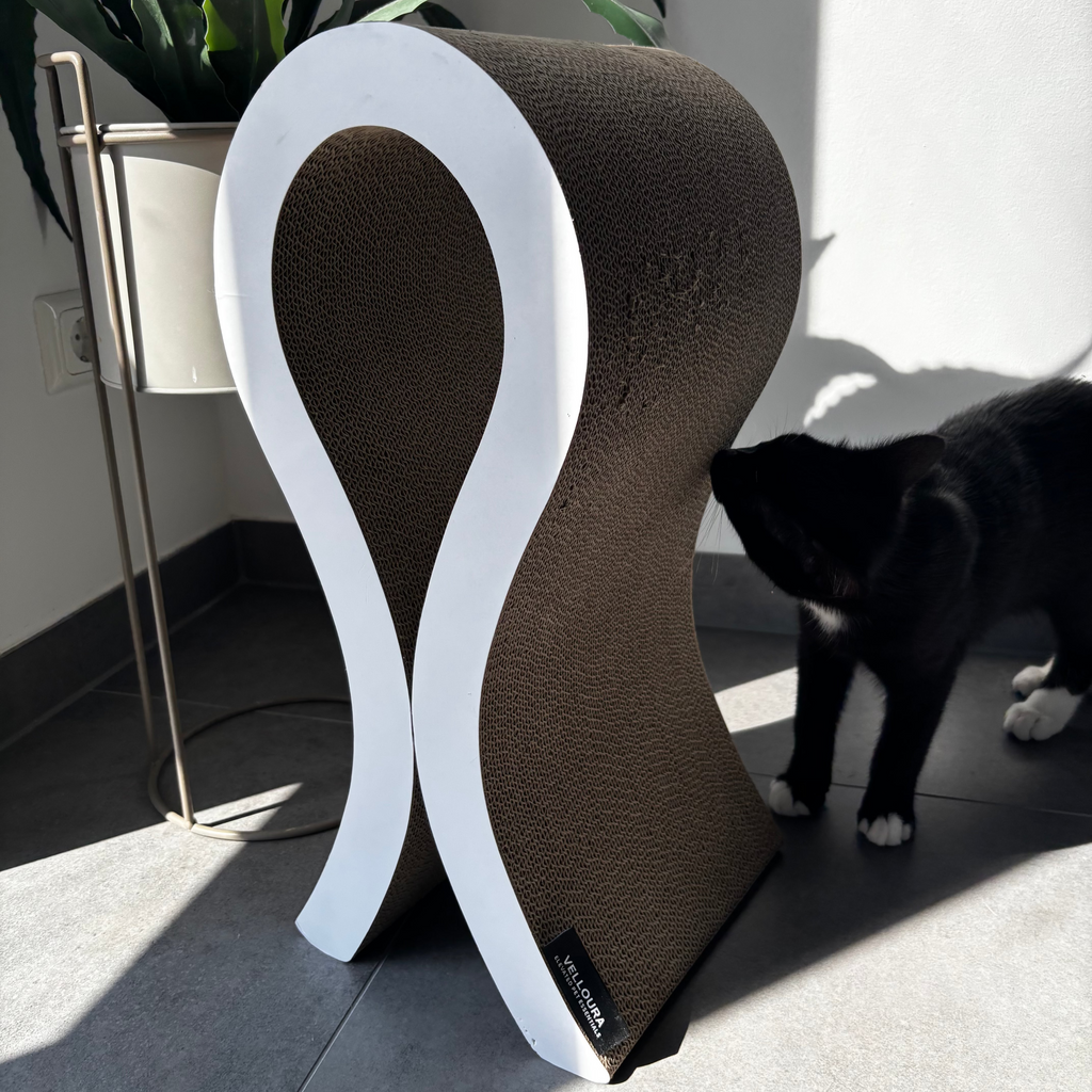 Velloura Loop & Lounger