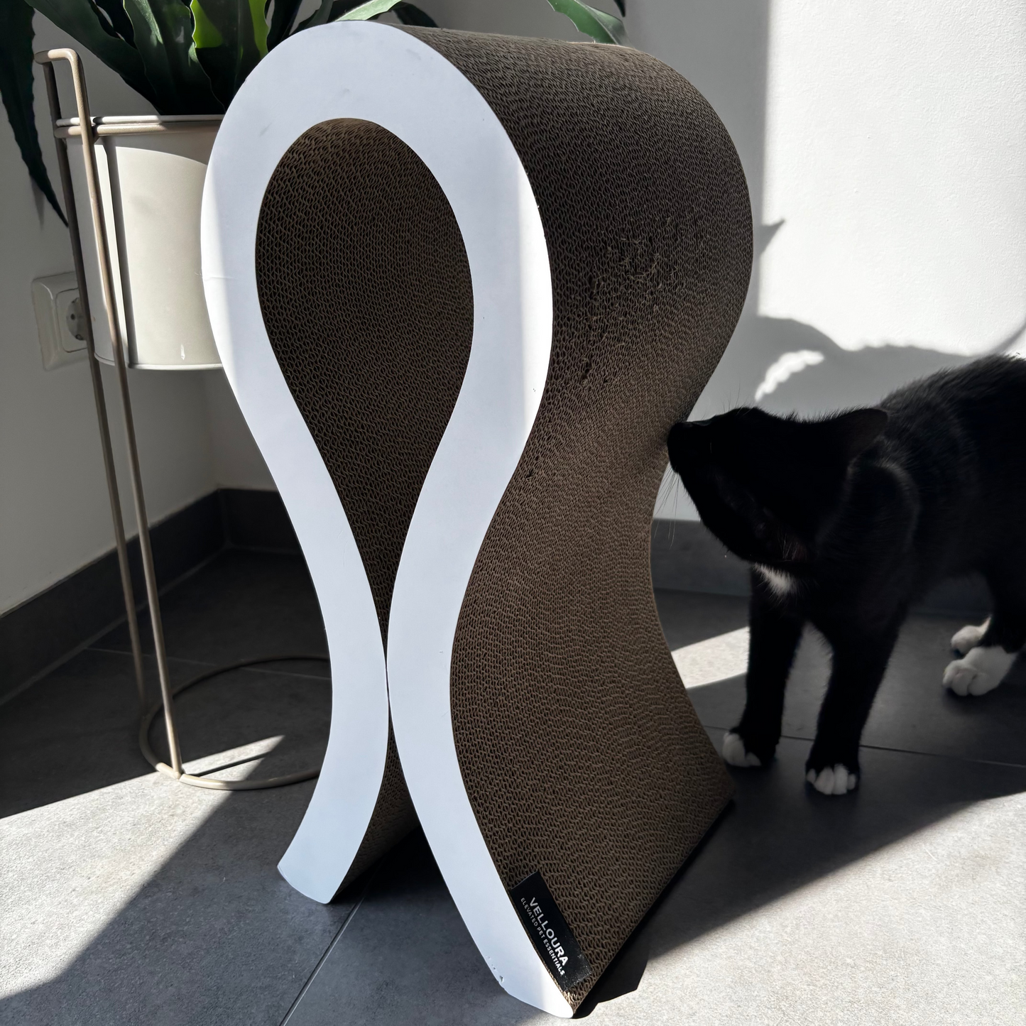 Velloura Loop & Lounger