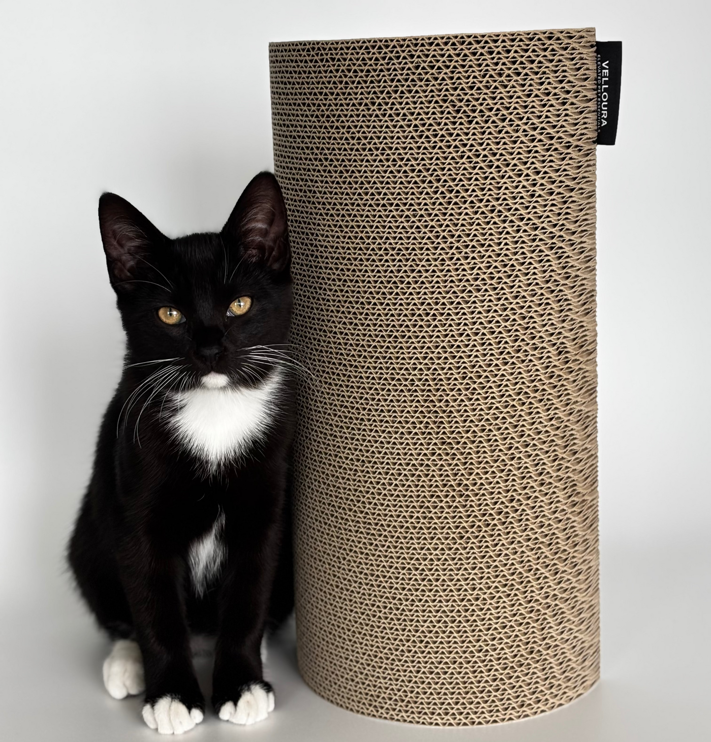 Velloura Wall Scratcher