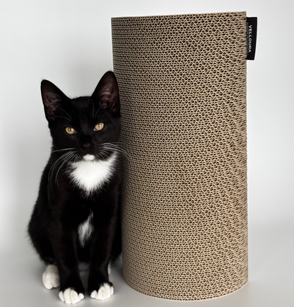 Velloura Wall Scratcher