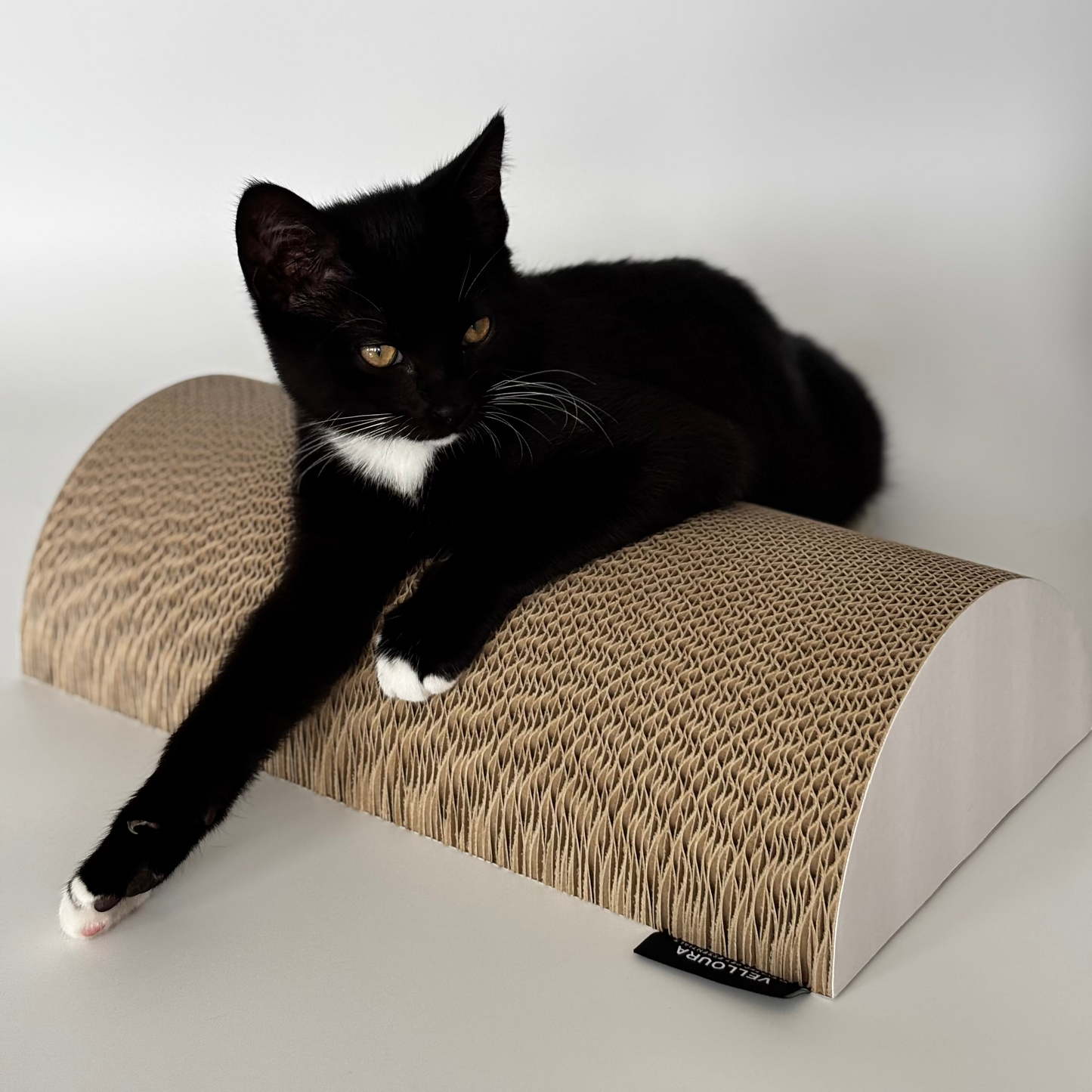 Velloura Wall Scratcher