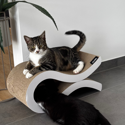 Velloura Loop & Lounger