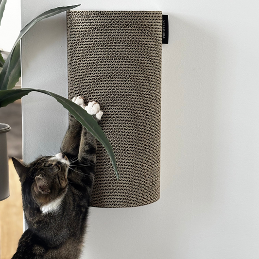 Velloura Wall Scratcher