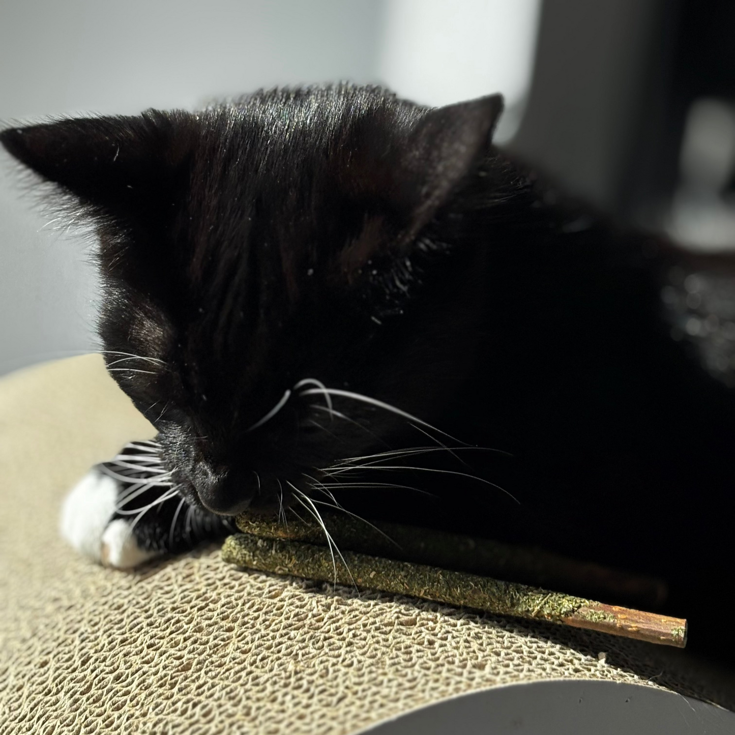 Velloura Matatabi Sticks