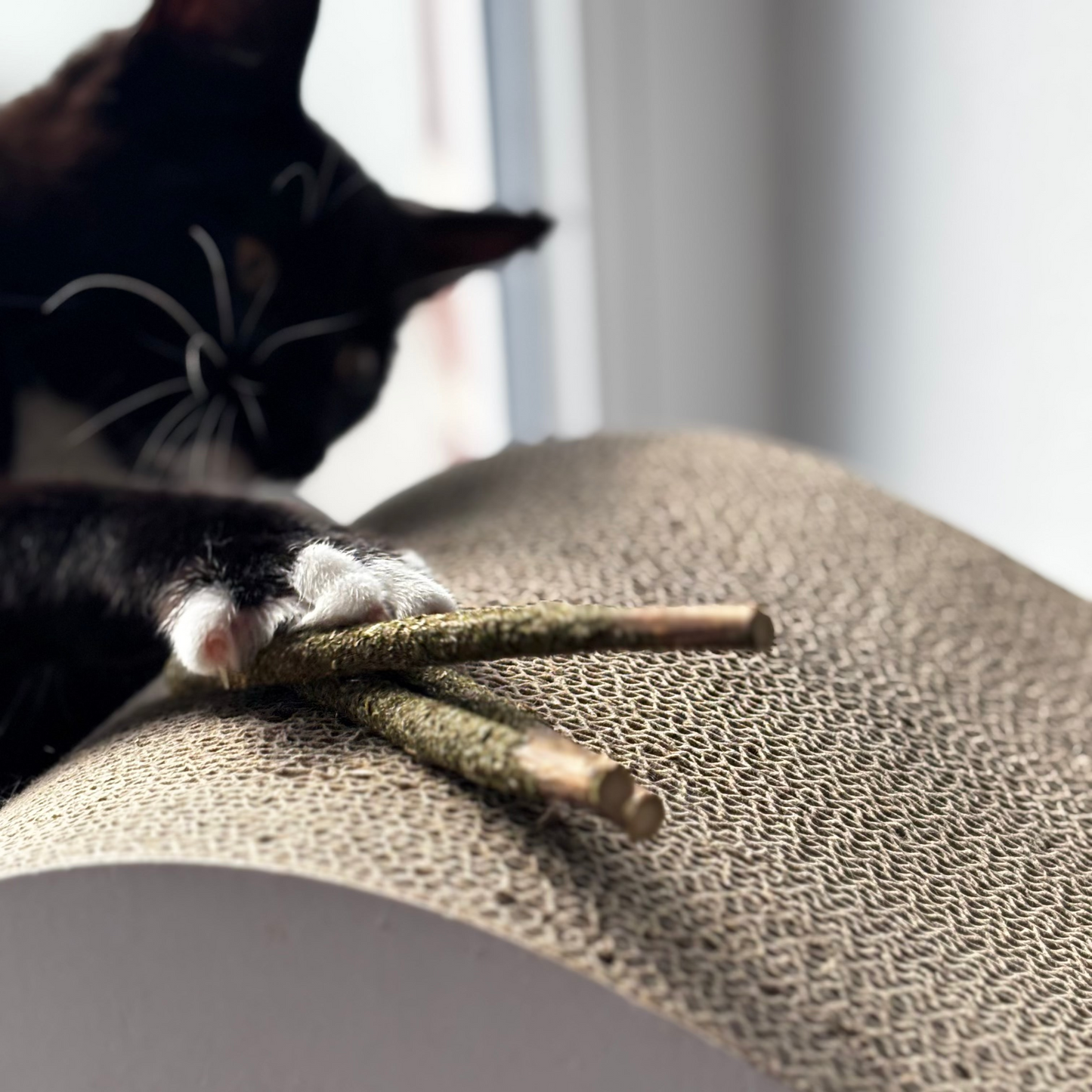 Velloura Matatabi Sticks