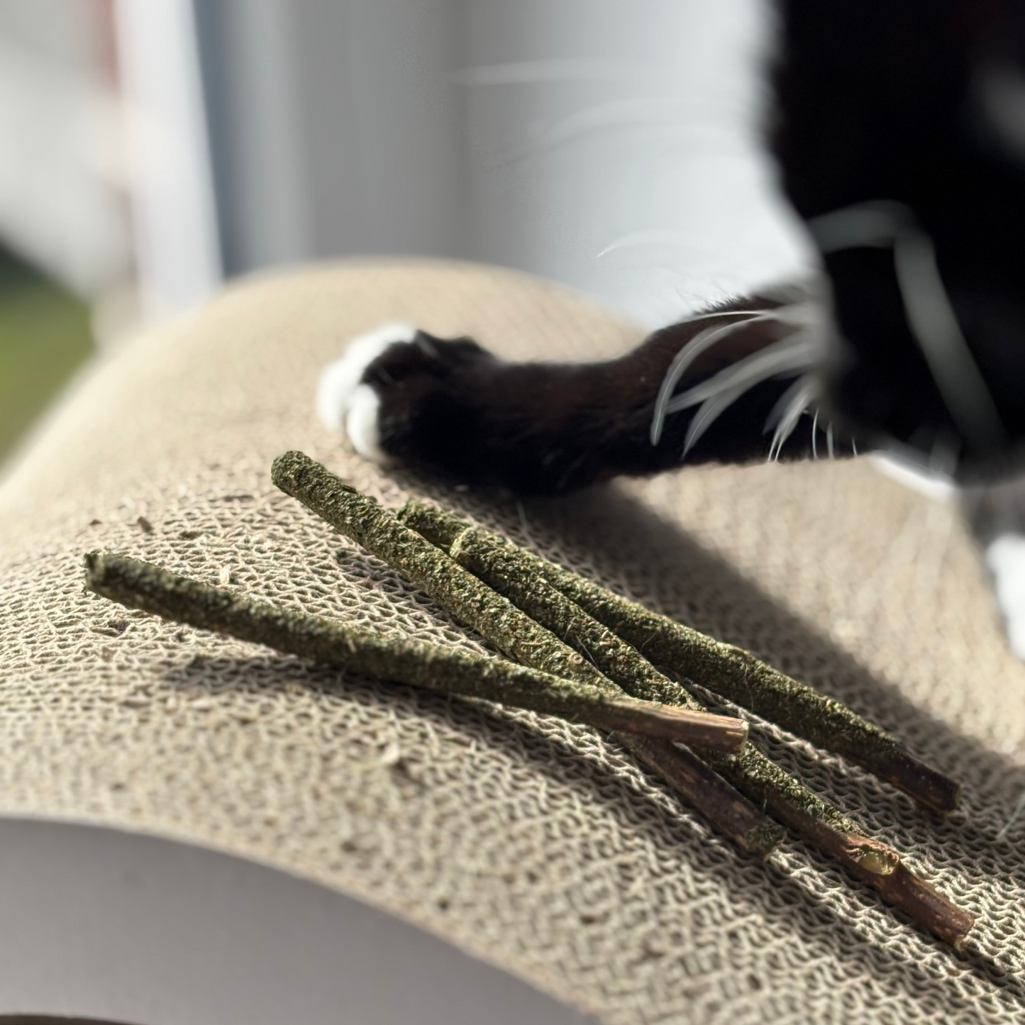 Velloura Matatabi Sticks